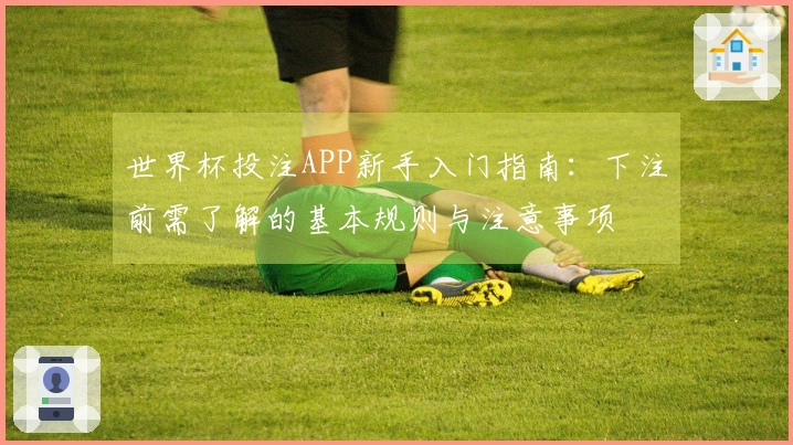 世界杯投注APP新手入门指南:下注前需了解的基本规则与注意事项